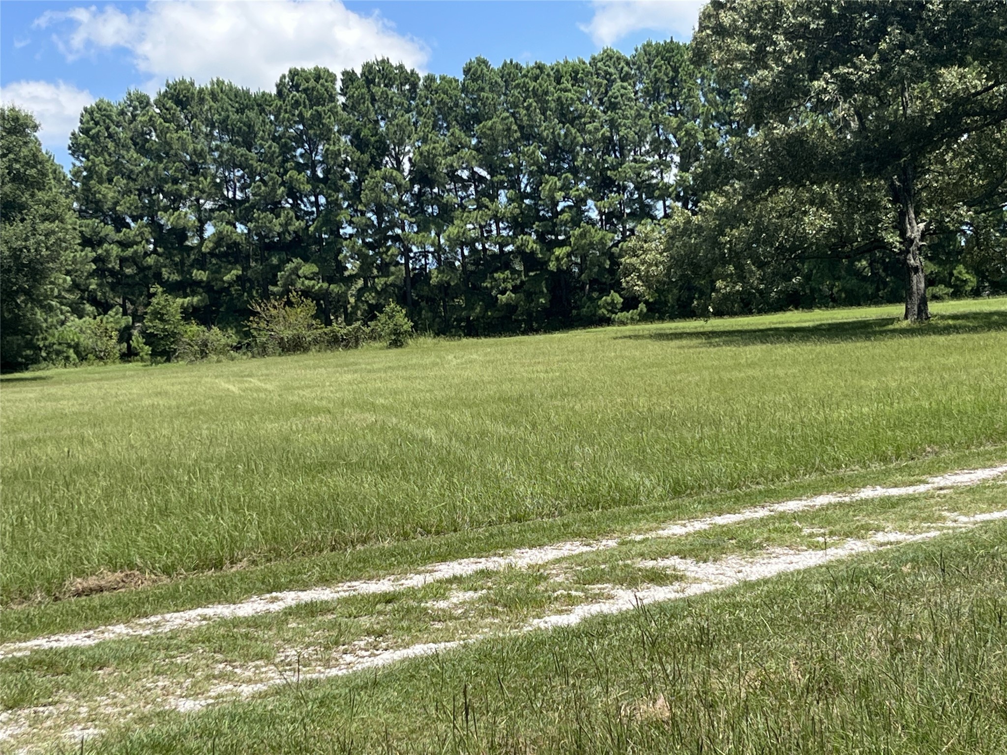 210 Vz County Road 2139 Canton TX 75103