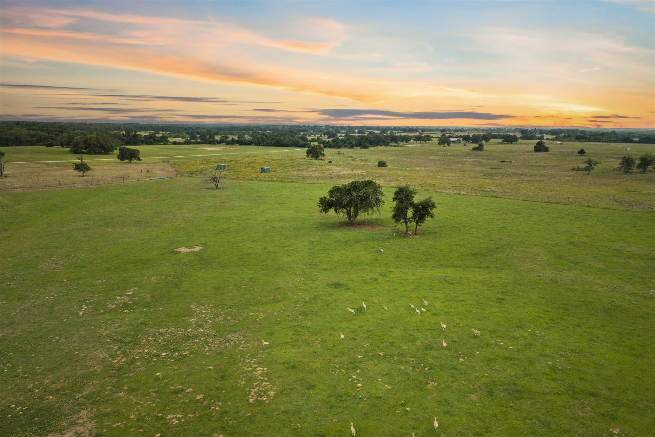 132 County Road 267 Cameron TX 76520