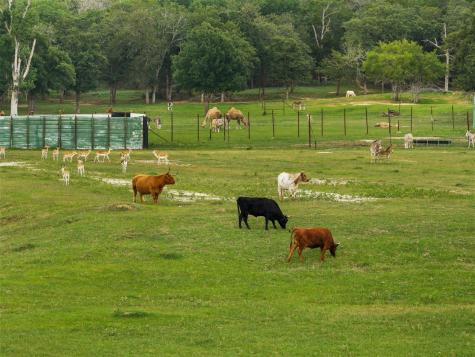 132 County Road 267 Cameron TX 76520