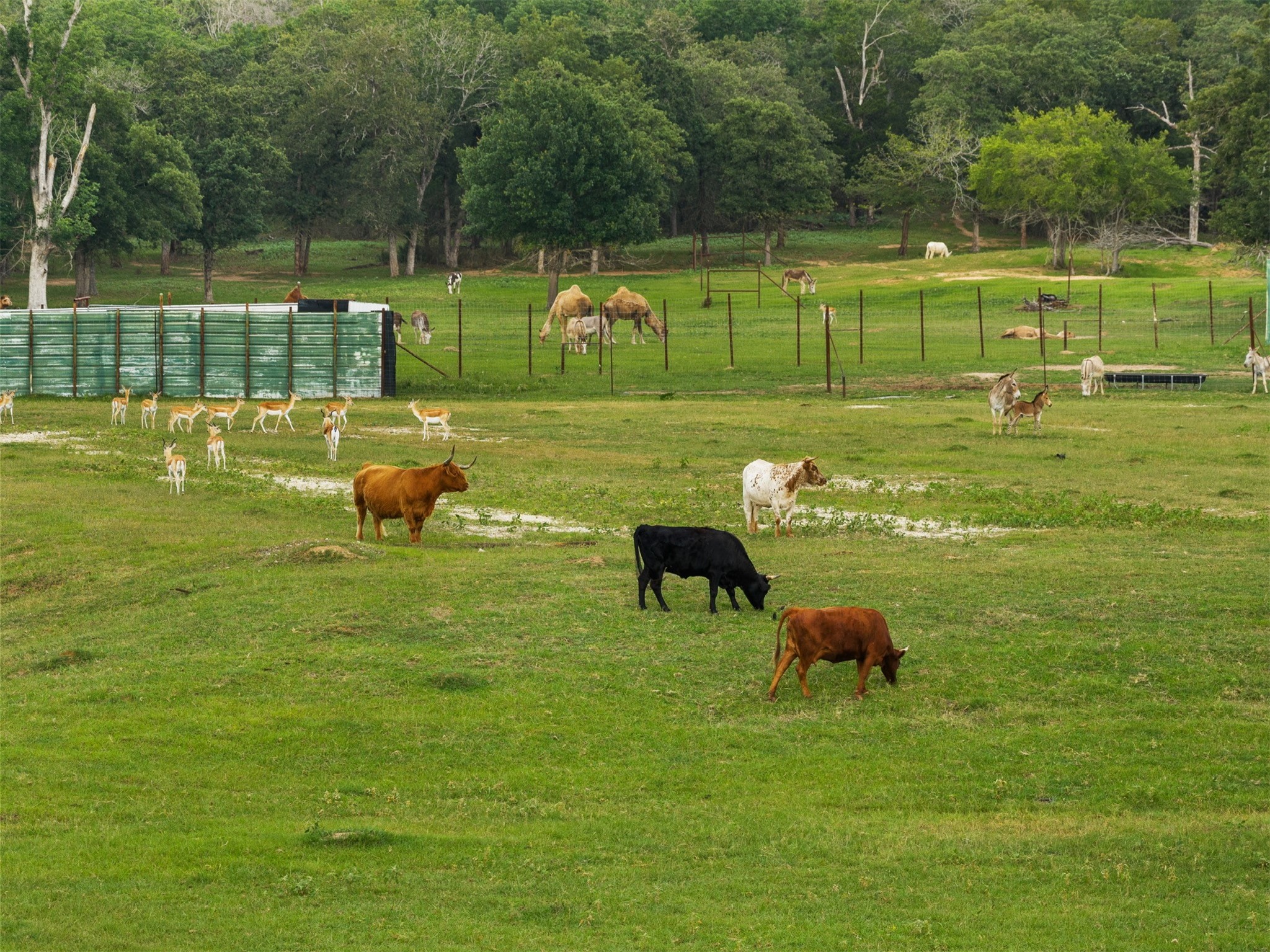 132 County Road 267 Cameron TX 76520
