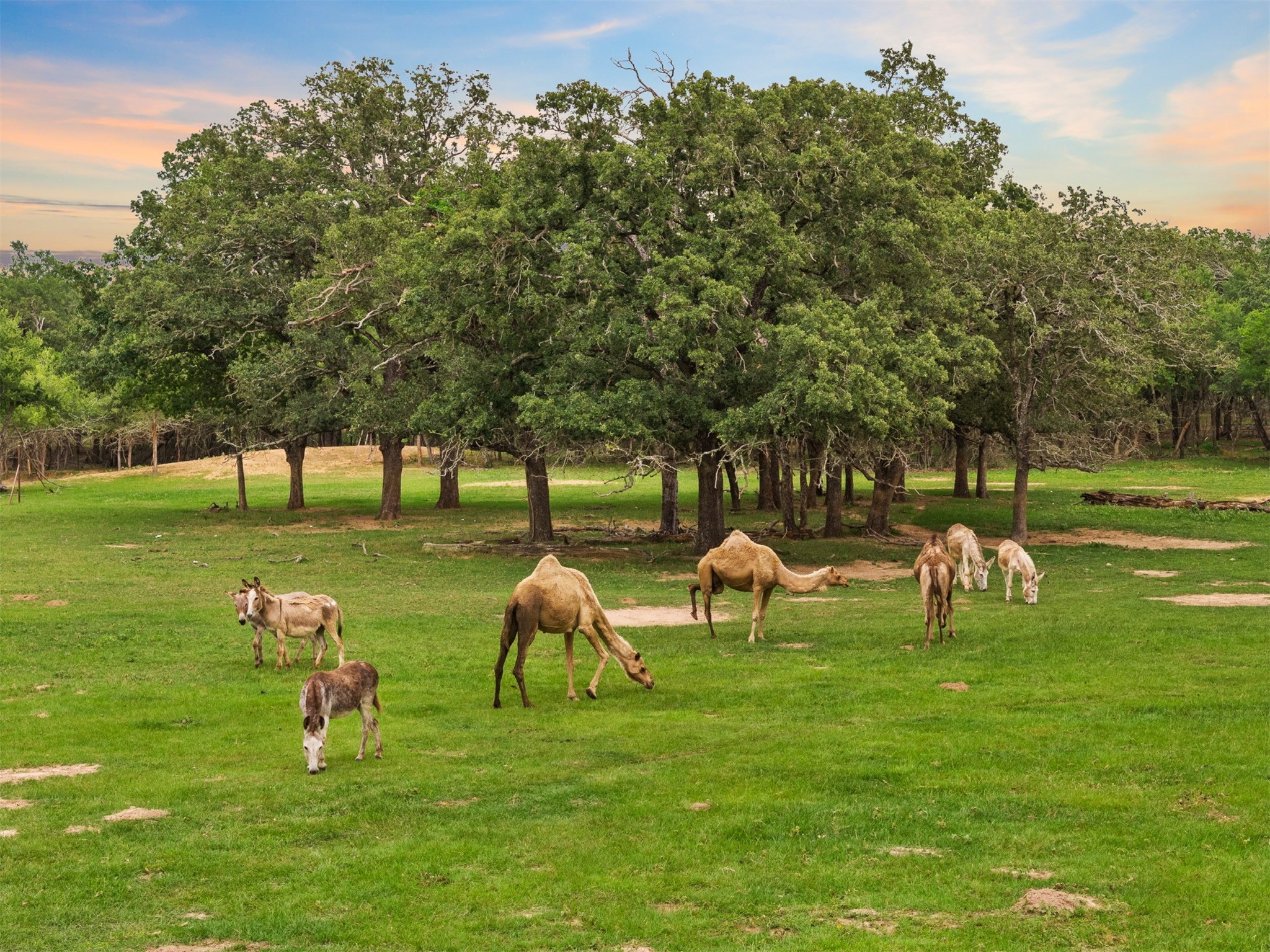 132 County Road 267 Cameron TX 76520