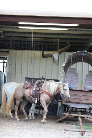 132 County Road 267 Cameron TX 76520