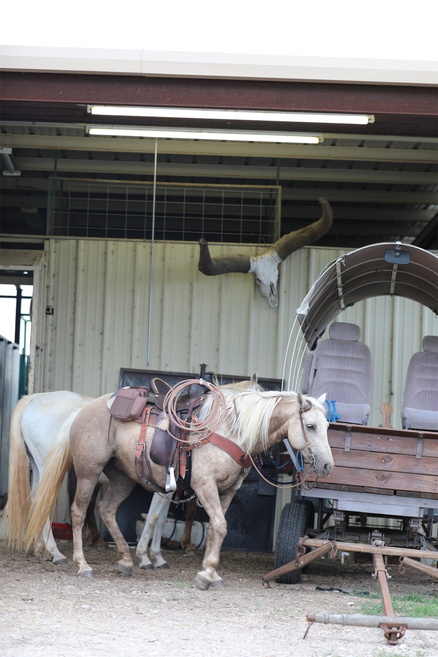 132 County Road 267 Cameron TX 76520