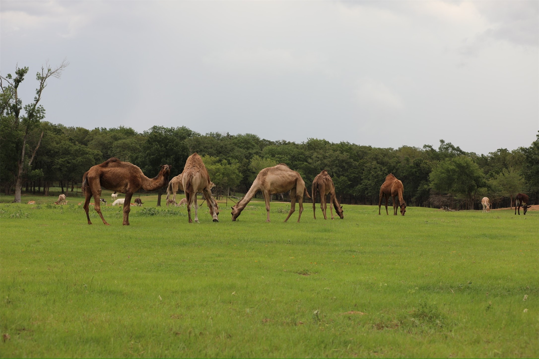 132 County Road 267 Cameron TX 76520
