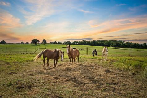 132 County Road 267 Cameron TX 76520