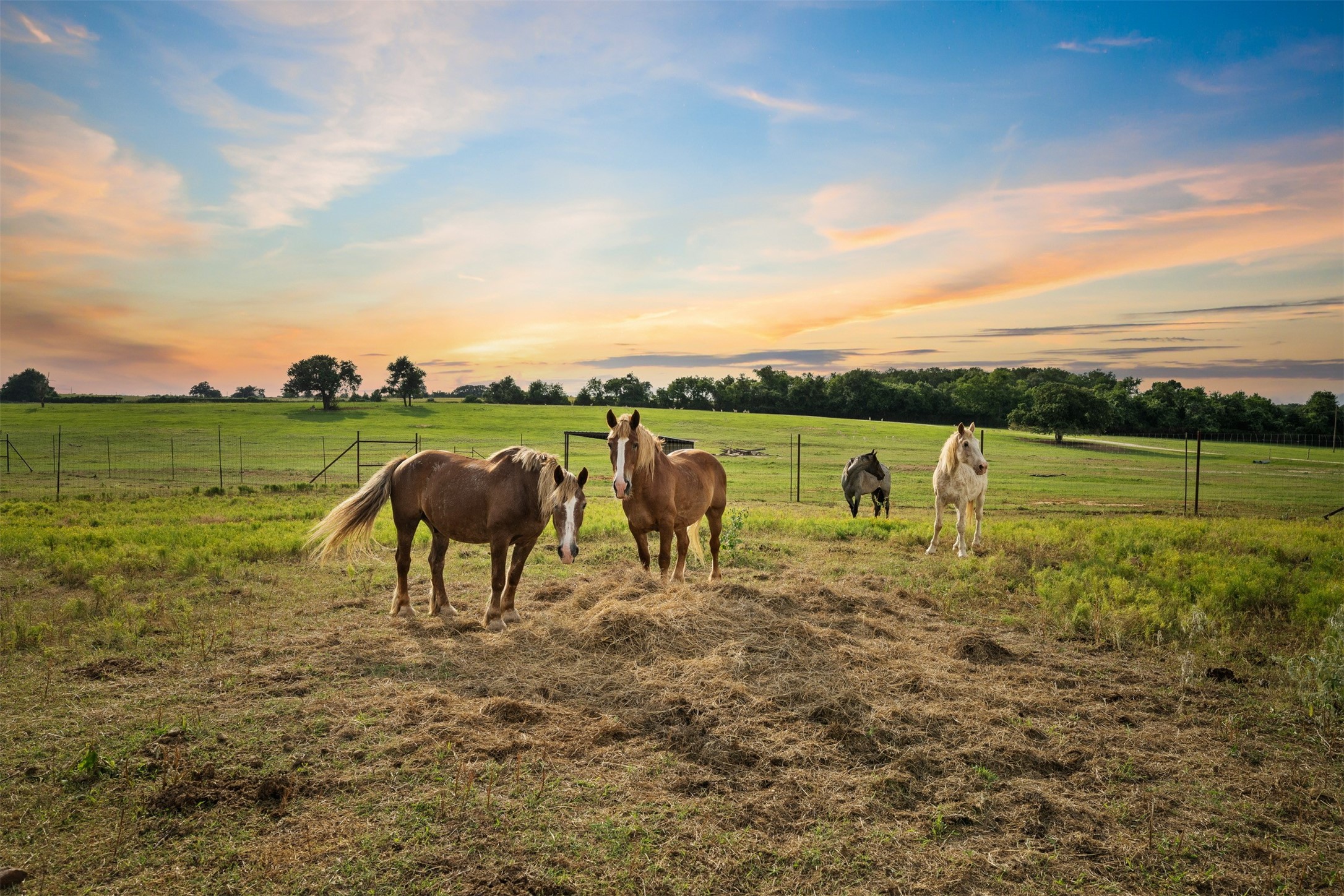 132 County Road 267 Cameron TX 76520