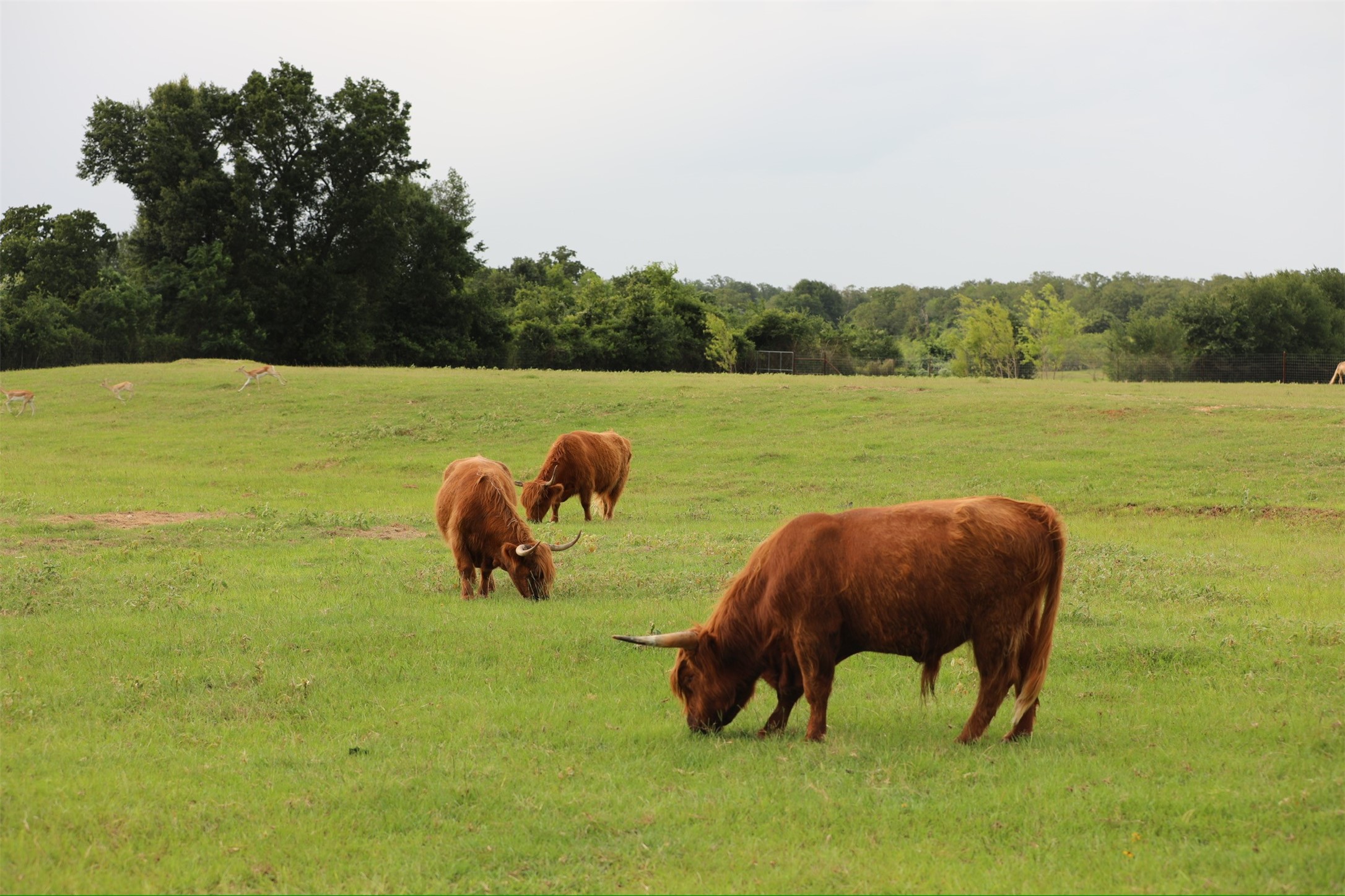 132 County Road 267 Cameron TX 76520