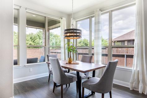 1301 Skyflower Lane Celina TX 75009