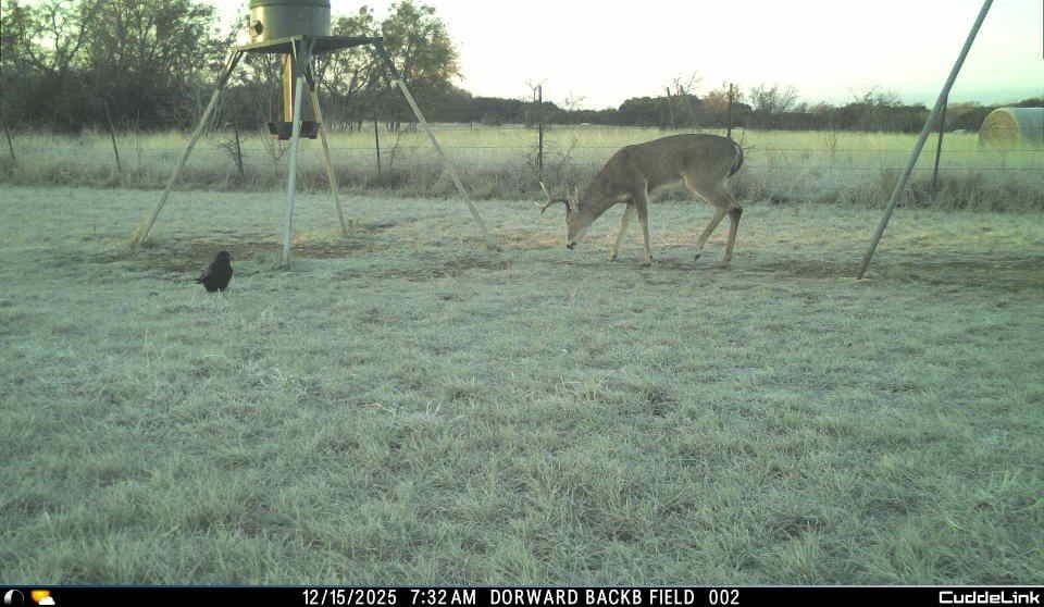 331 County Road 3440 Clifton TX 76634
