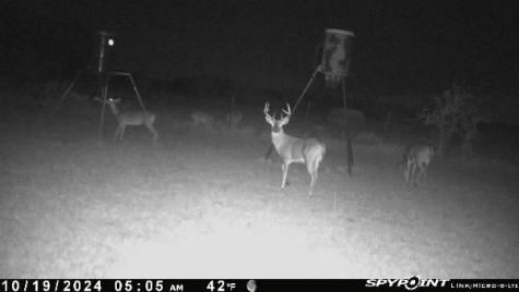 331 County Road 3440 Clifton TX 76634
