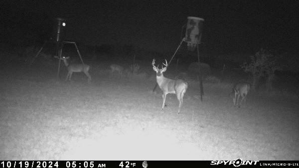 331 County Road 3440 Clifton TX 76634