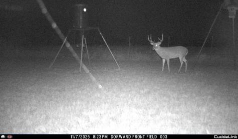 331 County Road 3440 Clifton TX 76634