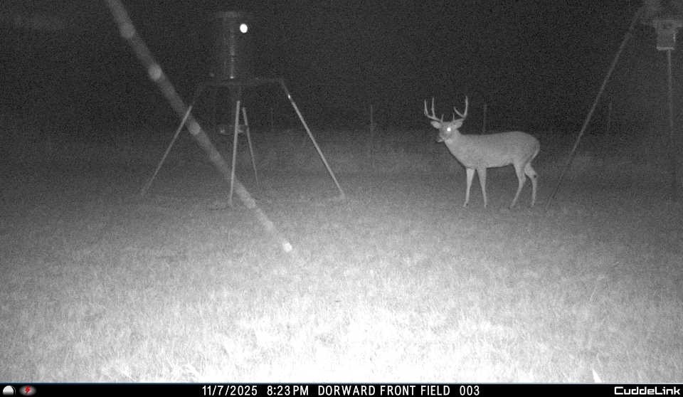 331 County Road 3440 Clifton TX 76634