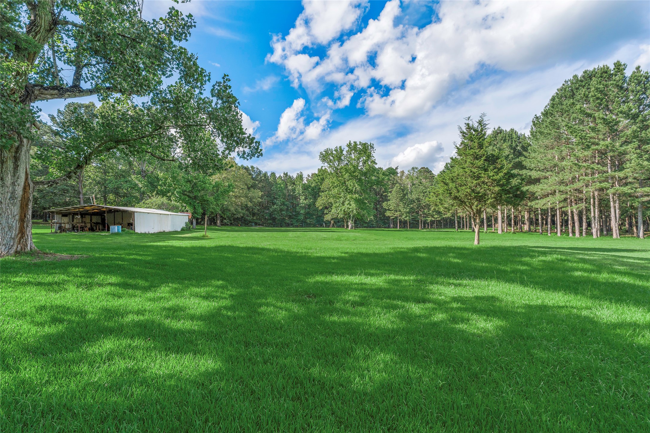 155 Jones Lane Benton LA 71006
