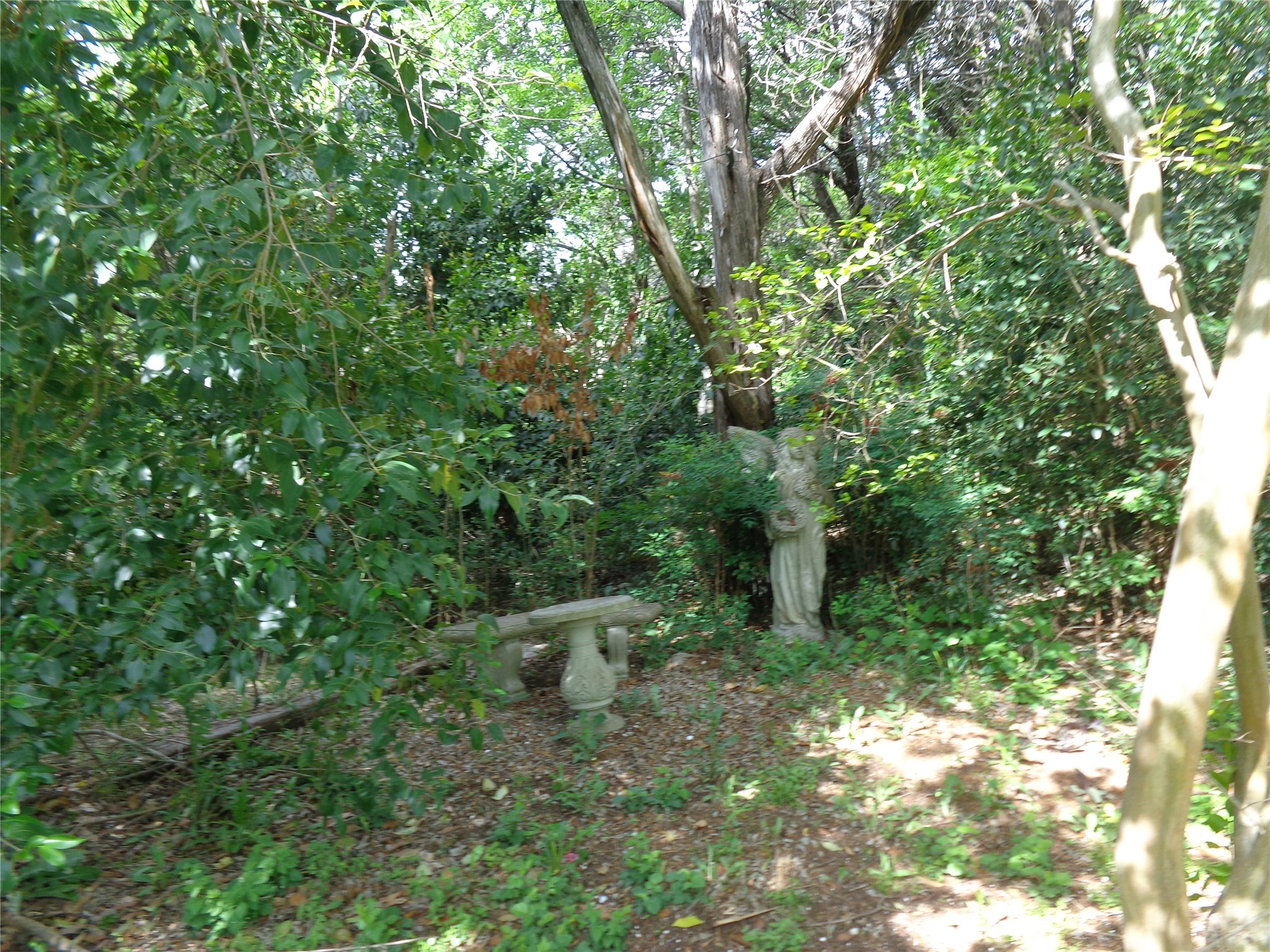261 County Road 1766 Clifton TX 76634