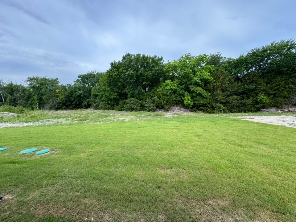 1460 Julian Drive Van Alstyne TX 75495