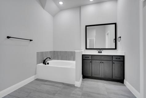 128 Lila Lake Drive Waxahachie TX 75165