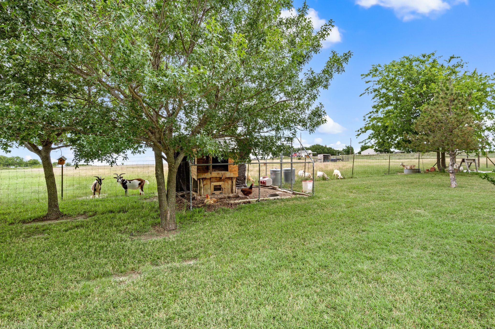 2141 Old Denton Road Decatur TX 76234