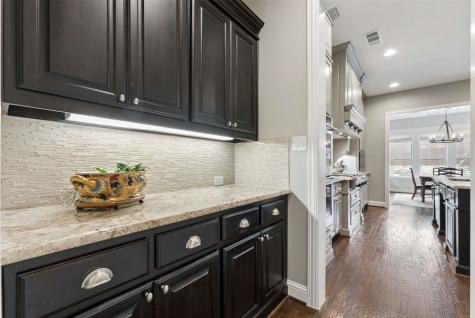 3031 Sunny Hill Lane Prosper TX 75078