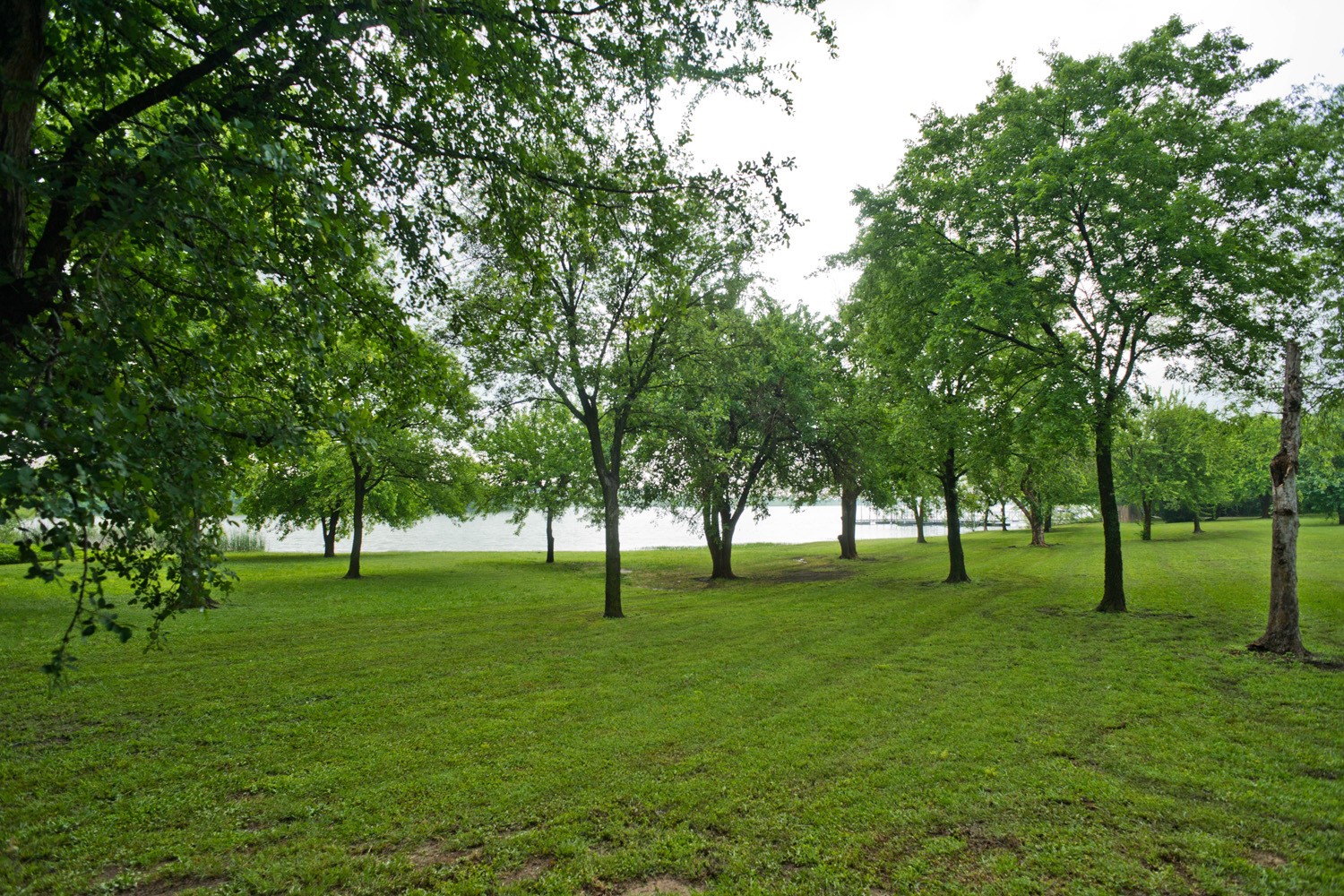 6112 Tilapia Drive Fort Worth TX 76179