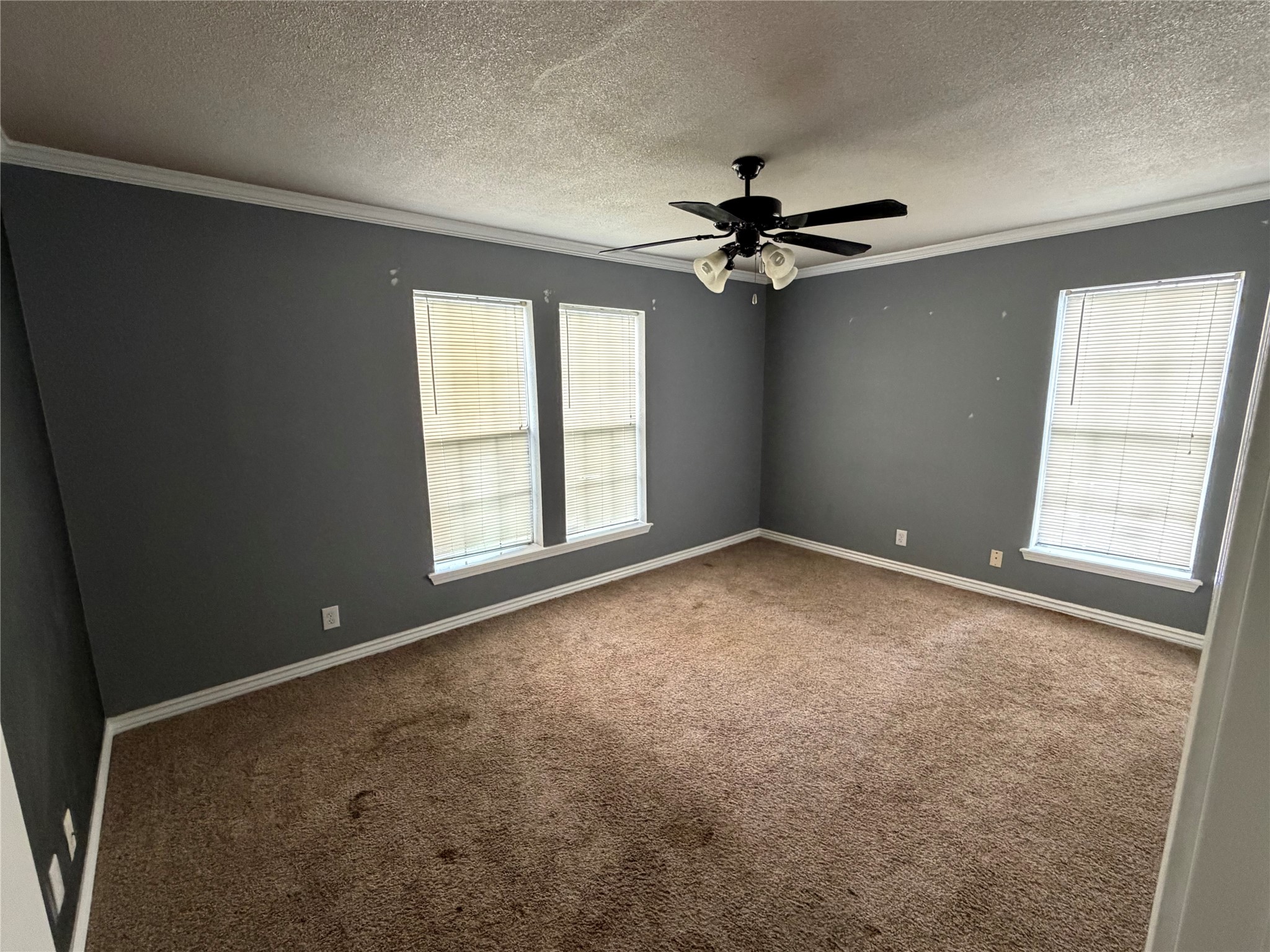 3909 Windsor Avenue Waco TX 76708
