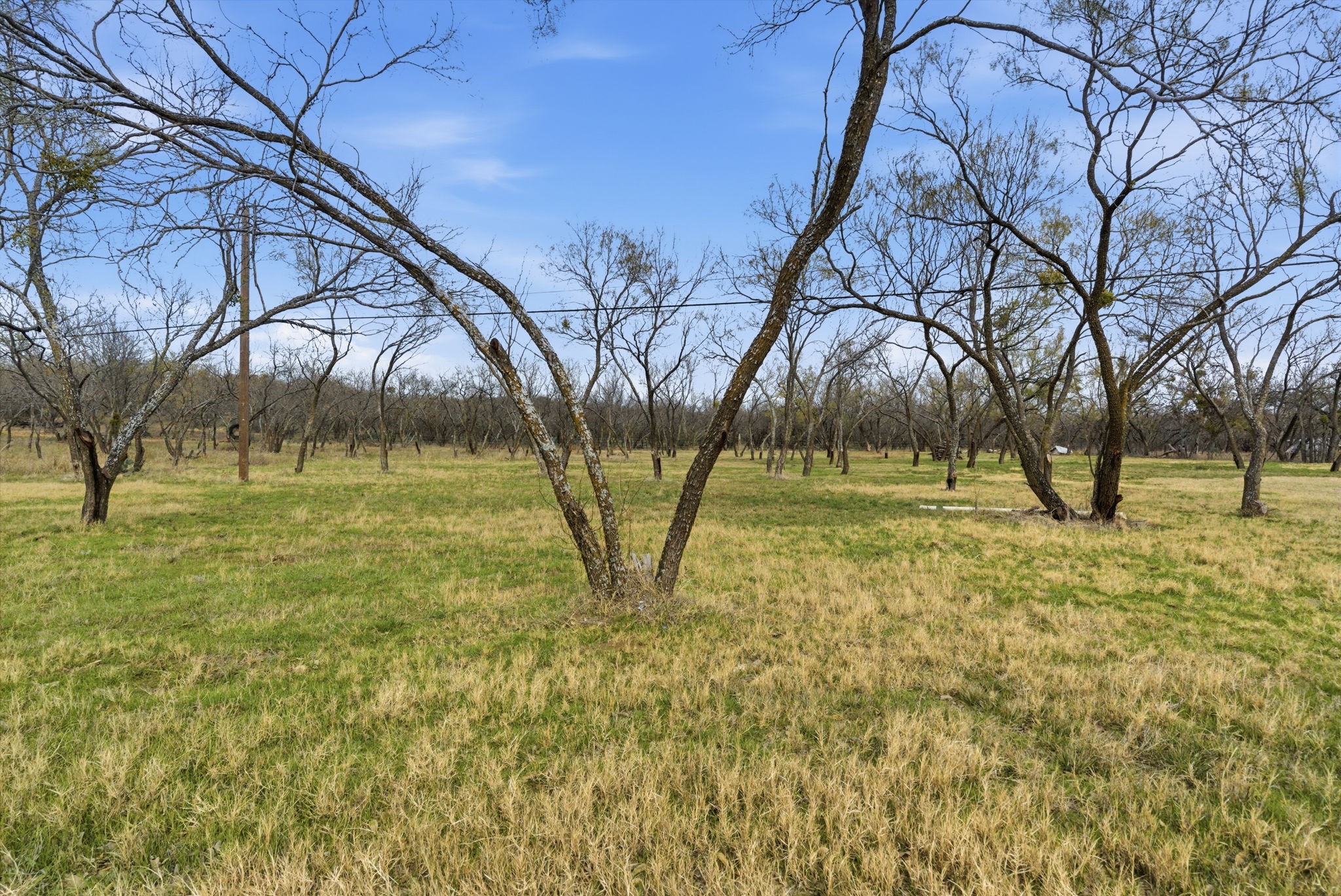 1600 Mancill Avenue Cisco TX 76437