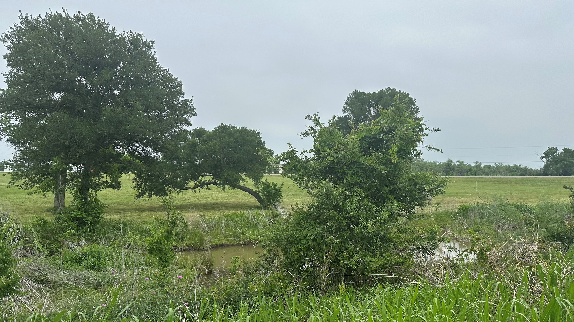 2642 Hwy 84 W Mexia TX 76667
