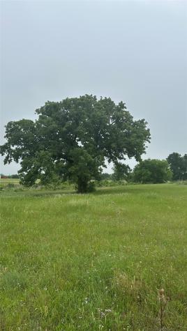 2642 Hwy 84 W Mexia TX 76667