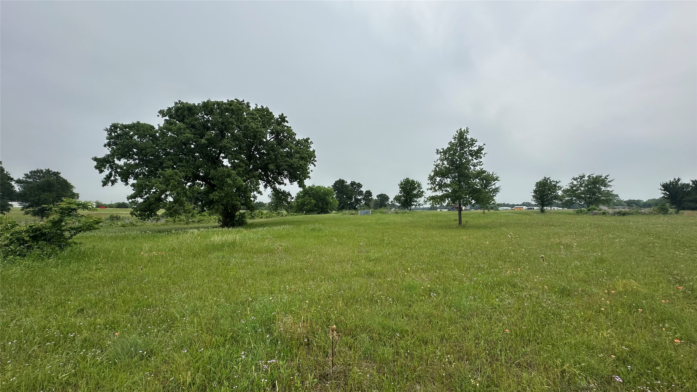 2642 Hwy 84 W Mexia TX 76667