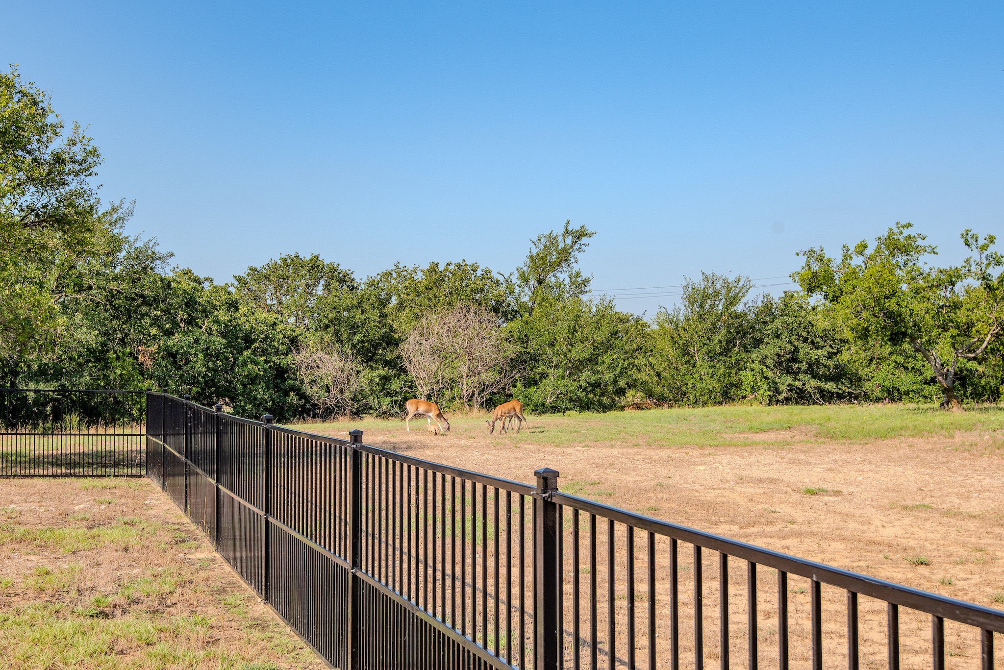 142 Lakeside Drive Lipan TX 76462