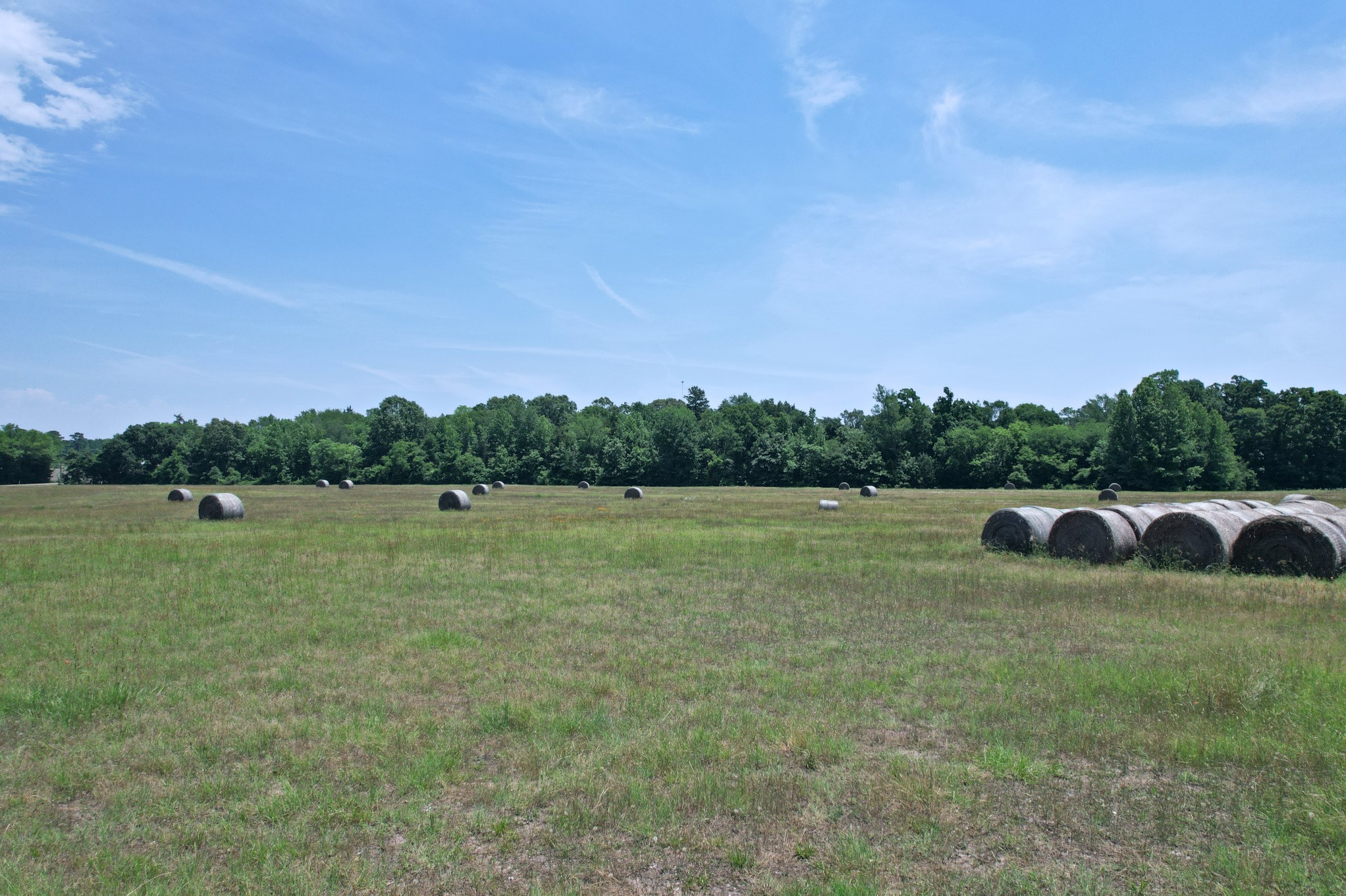 258 County Road 3199 Winnsboro TX 75494