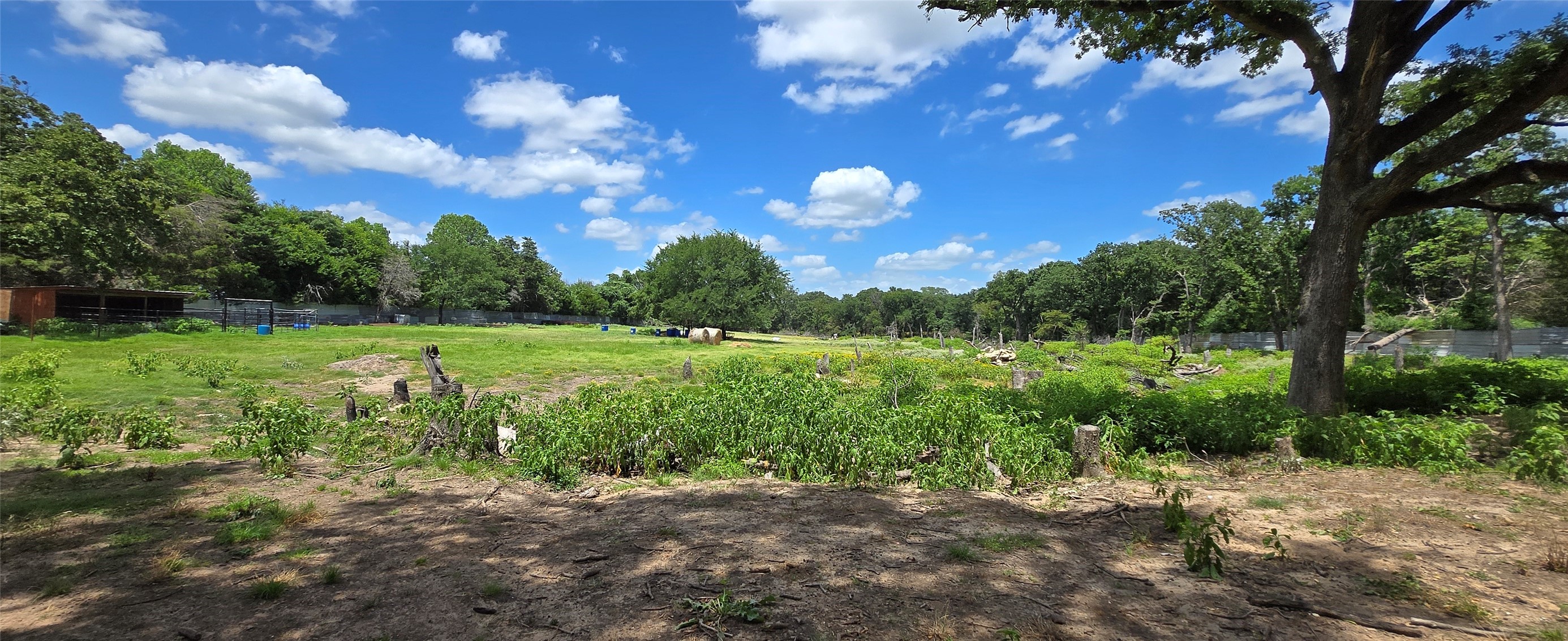 1528 Trout Road Hutchins TX 75141