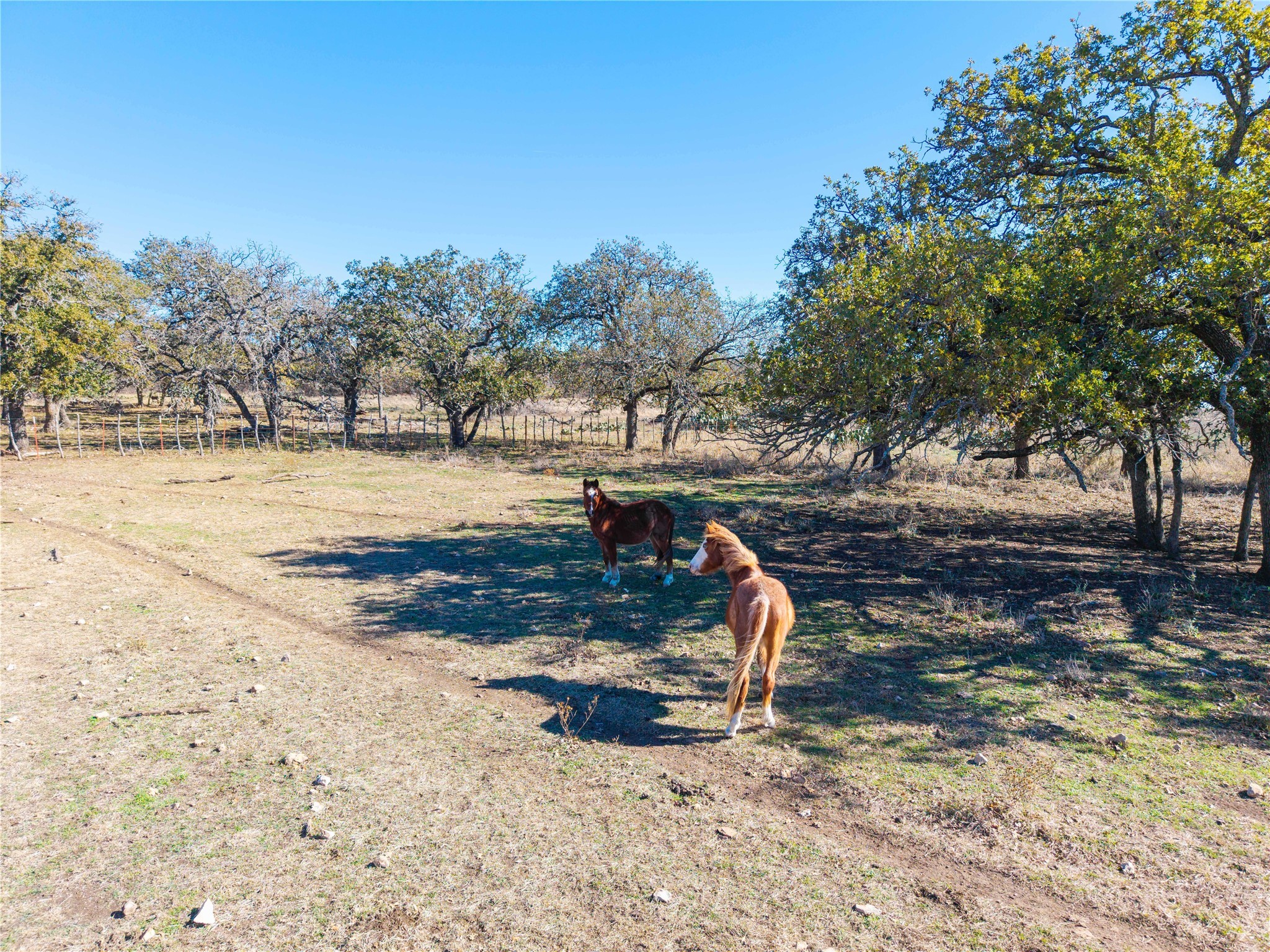540 Fm 575 Goldthwaite TX 76864
