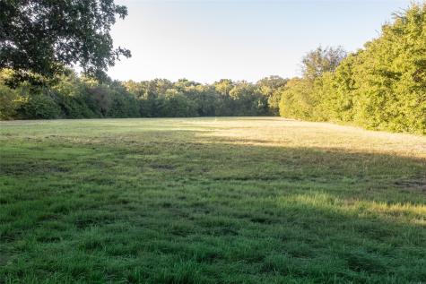 1071 Elm Creek Drive Fairview TX 75069