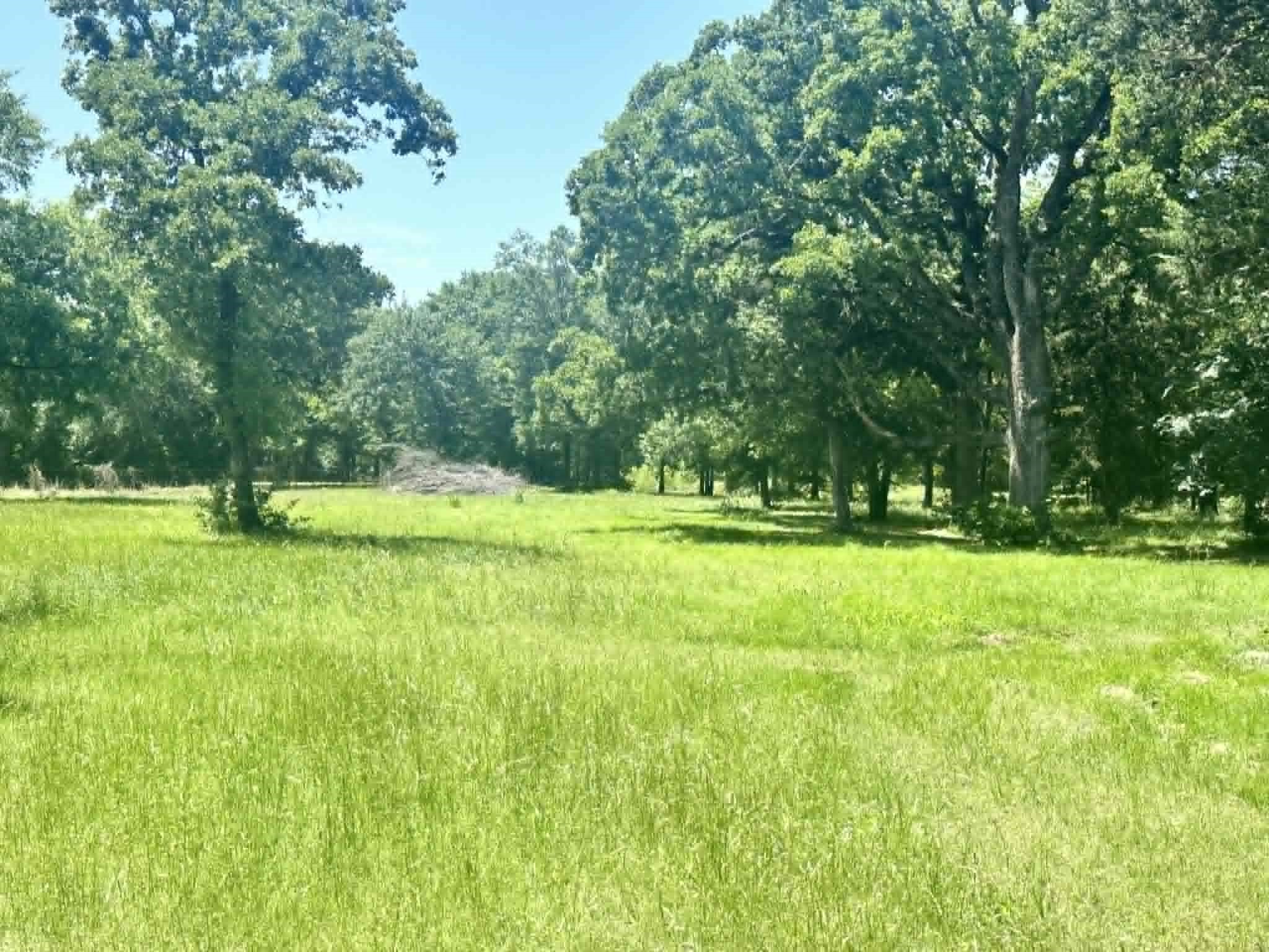 10042 Fm 1390 Scurry TX 75158