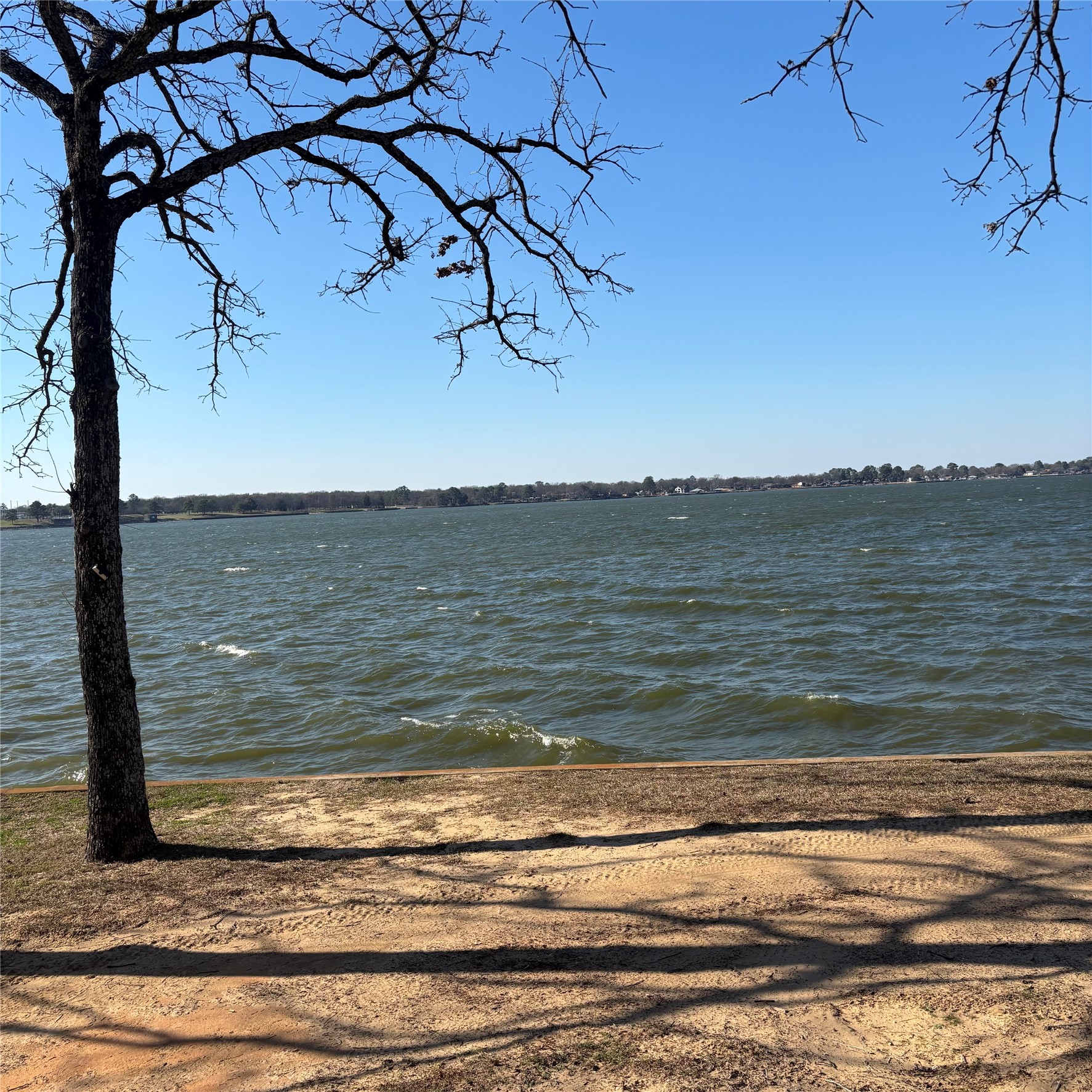 123 Channelview Drive Trinidad TX 75163
