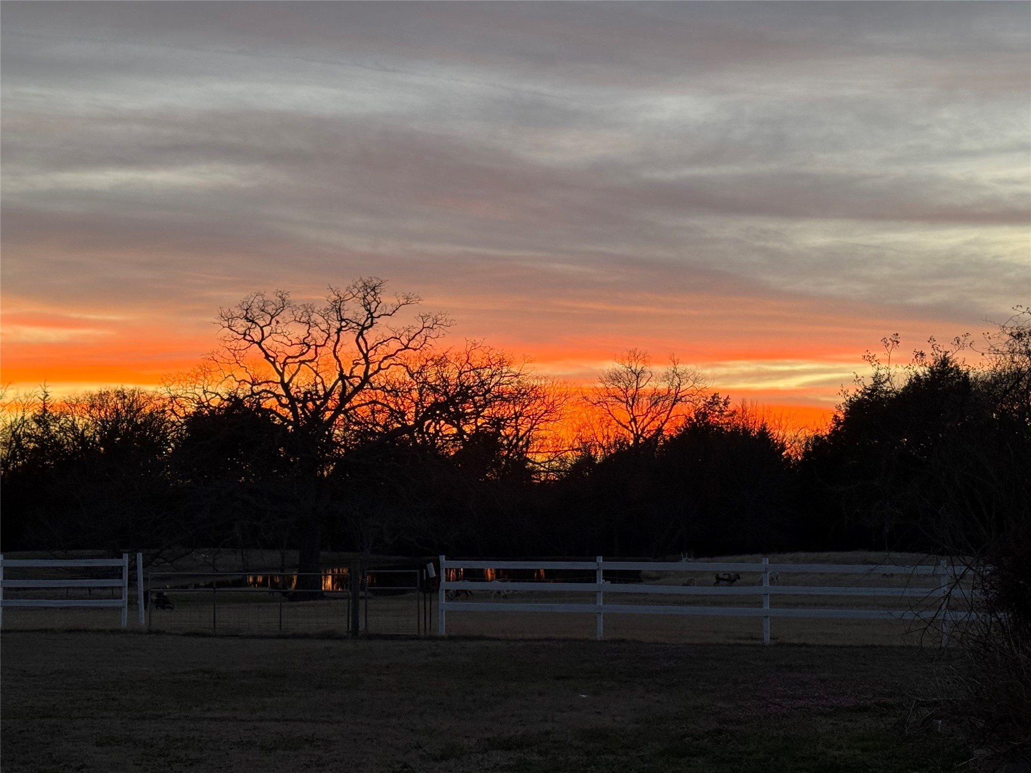1628 County Road 2605 Bonham TX 75418