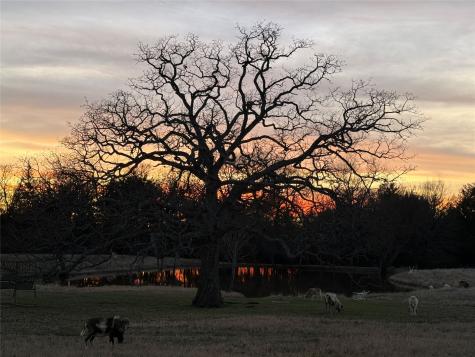 1628 County Road 2605 Bonham TX 75418