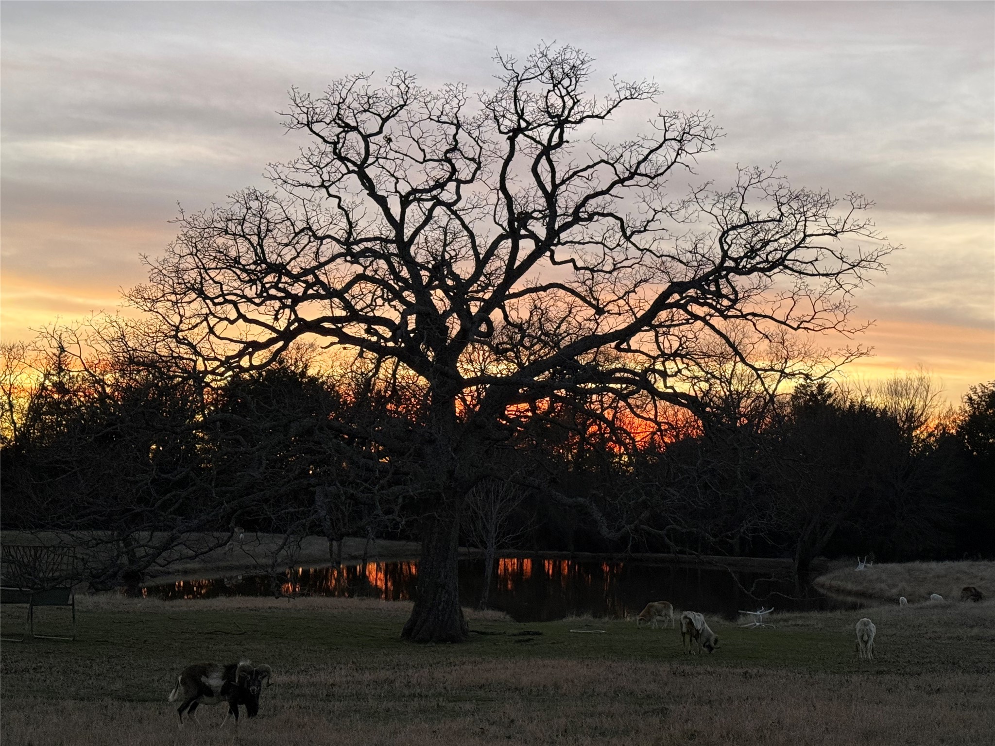 1628 County Road 2605 Bonham TX 75418