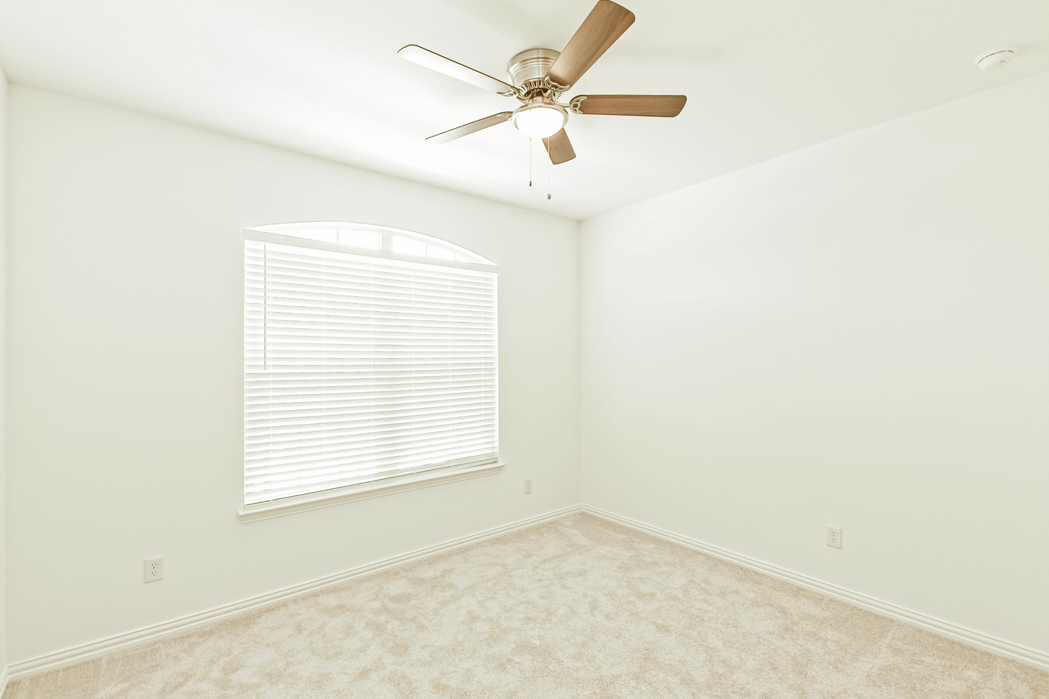 3104 Palmetto Place Mckinney TX 75071