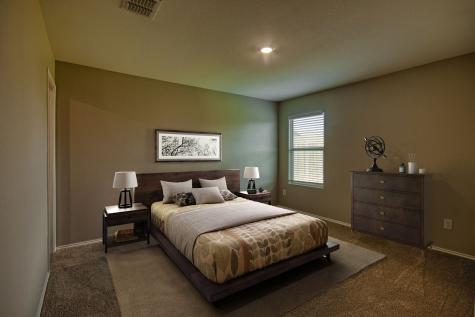 1007 Lady Bird Street Ennis TX 75119