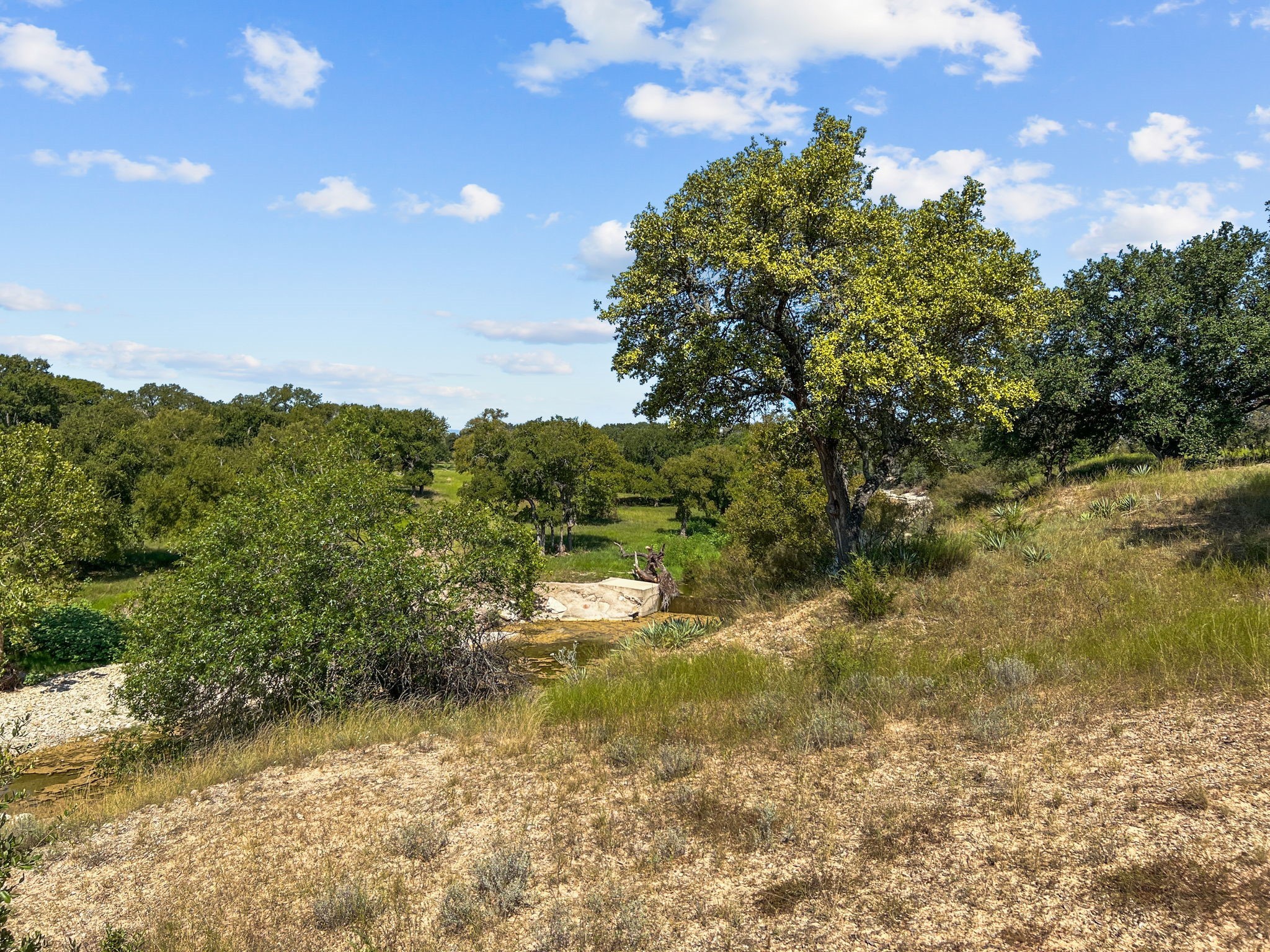 1134 Buffalo Creek Drive Evant TX 76525
