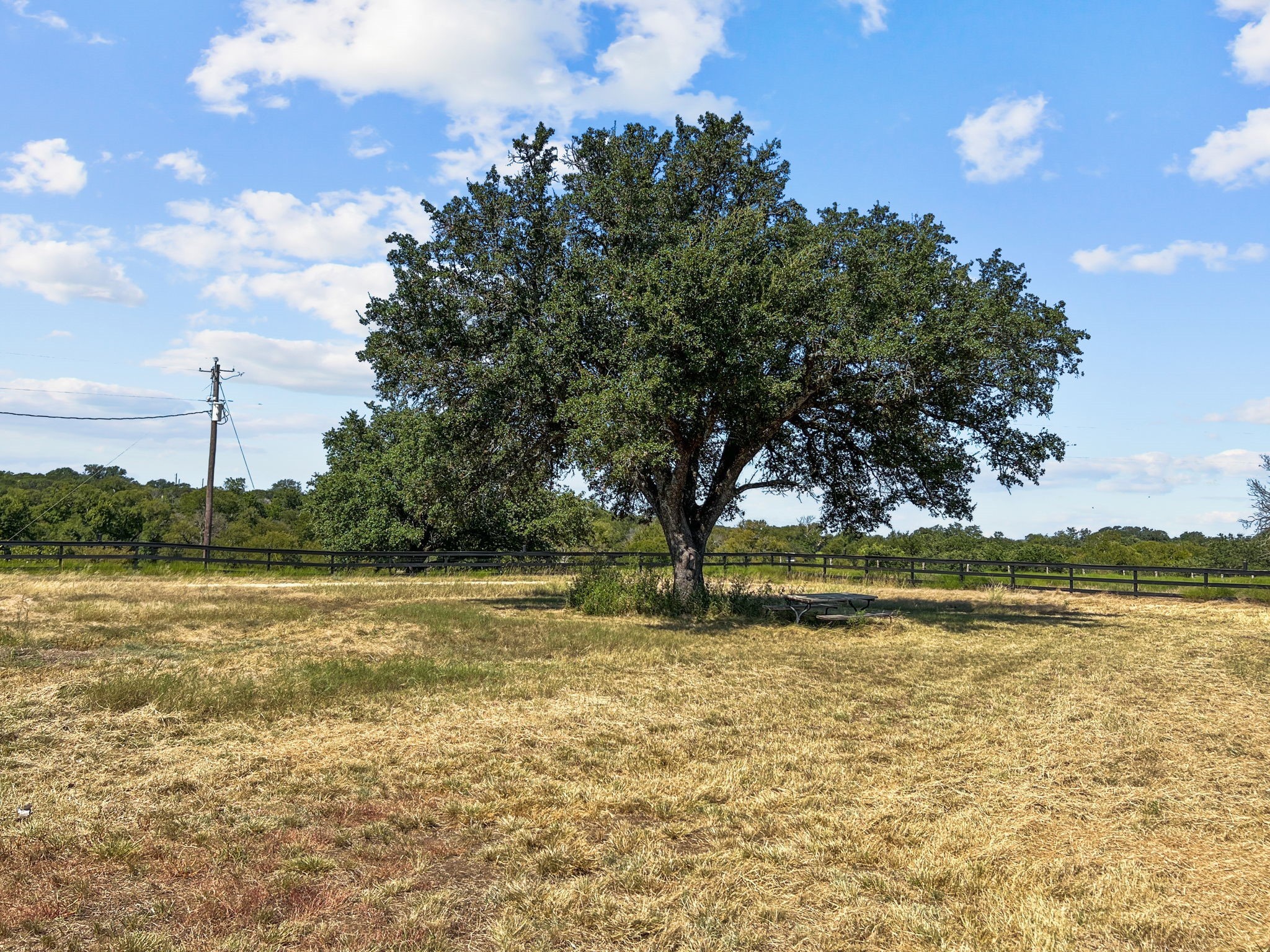 1134 Buffalo Creek Drive Evant TX 76525