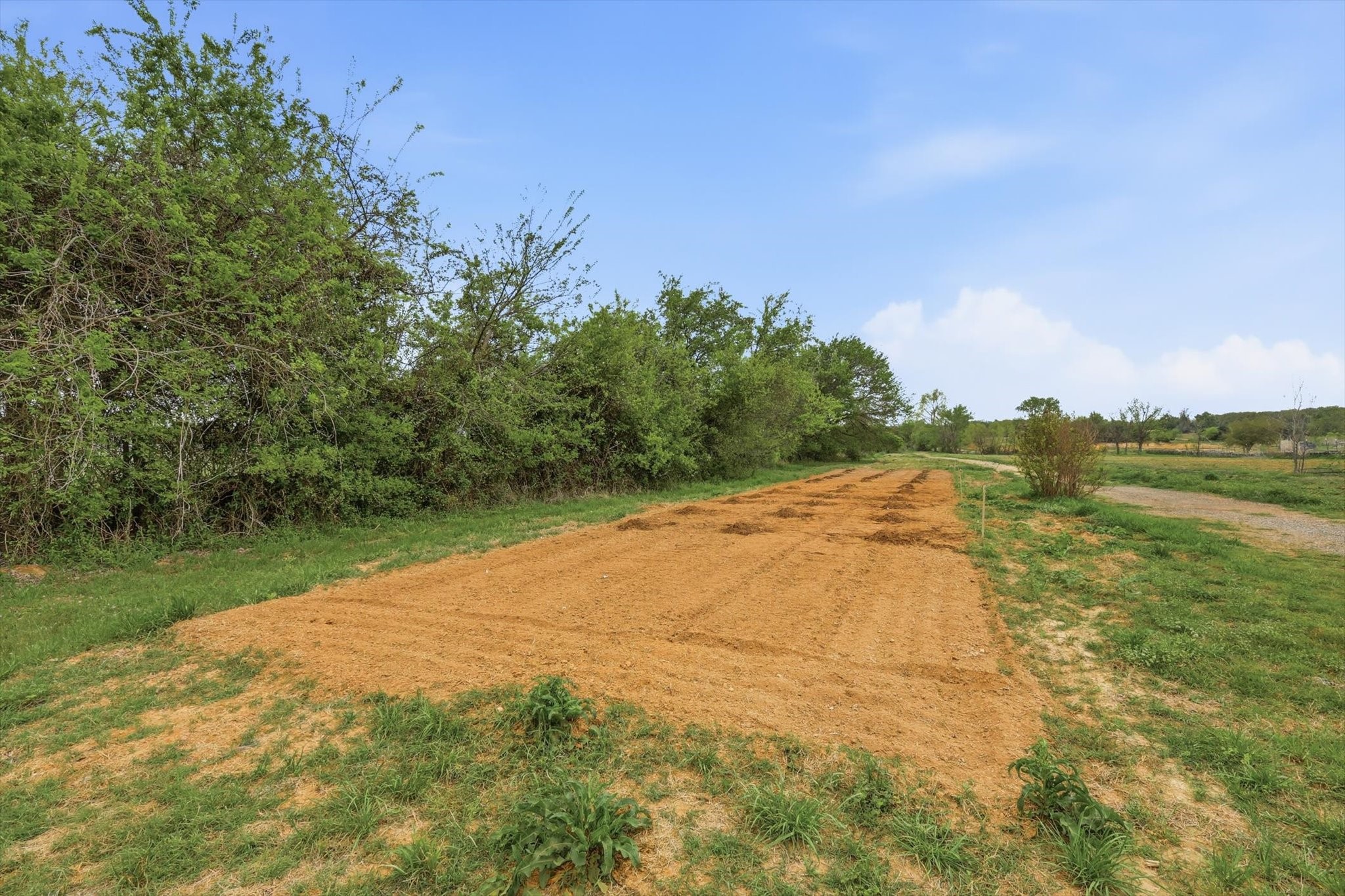 1445 County Road 3690 Paradise TX 76073