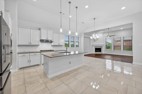 1107 Amber Rose Way Arlington TX 76005