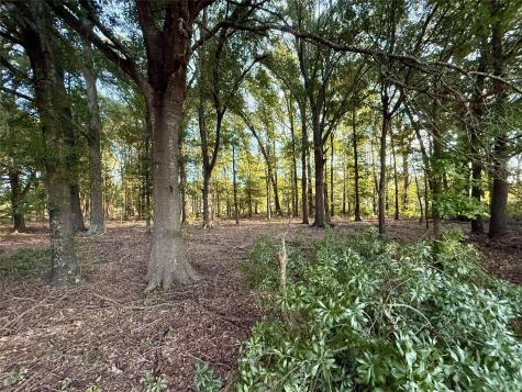 1211 Vz County Rd 4418 Road Canton TX 75103