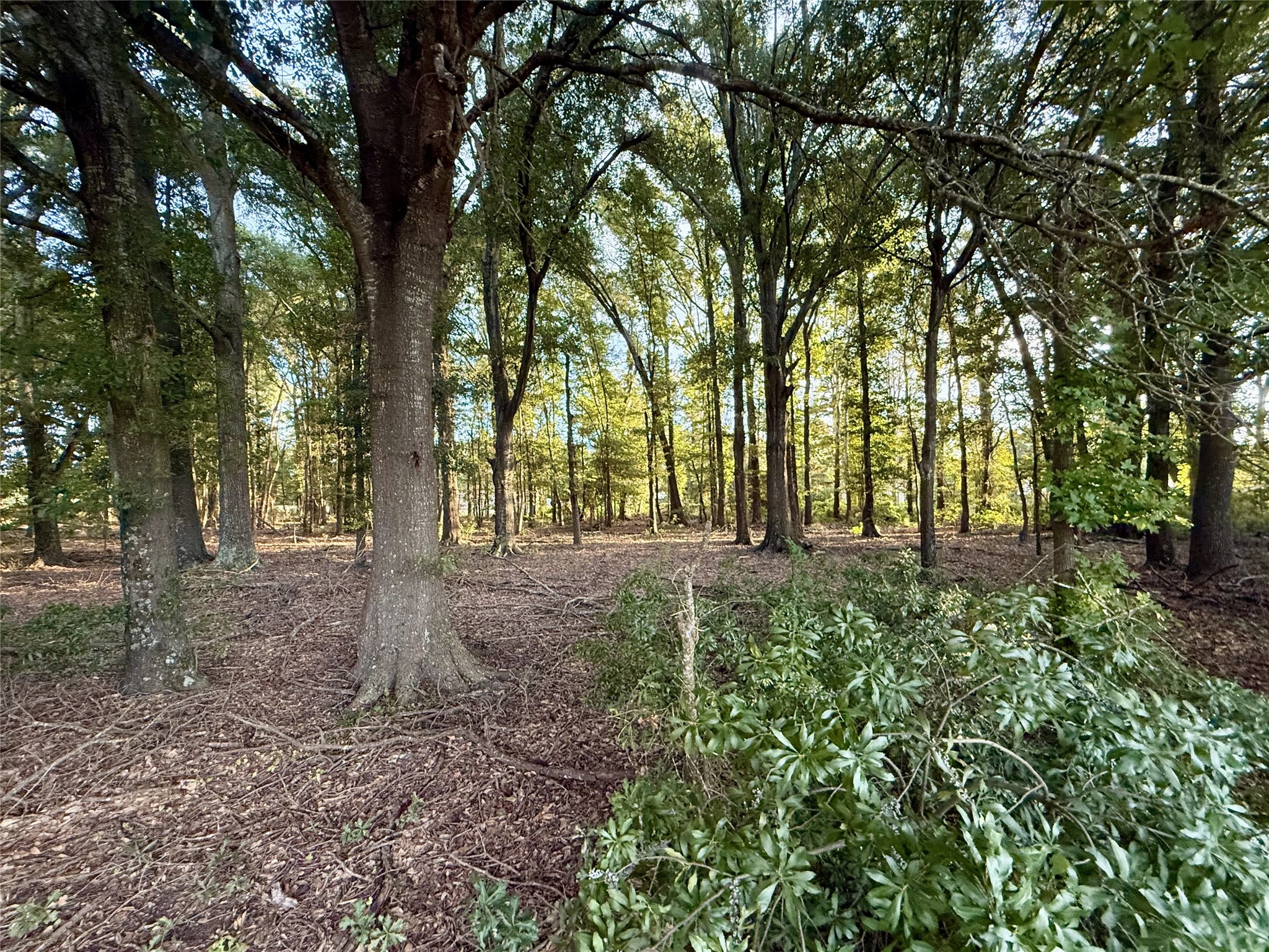 1211 Vz County Road 4418 Road Canton TX 75103
