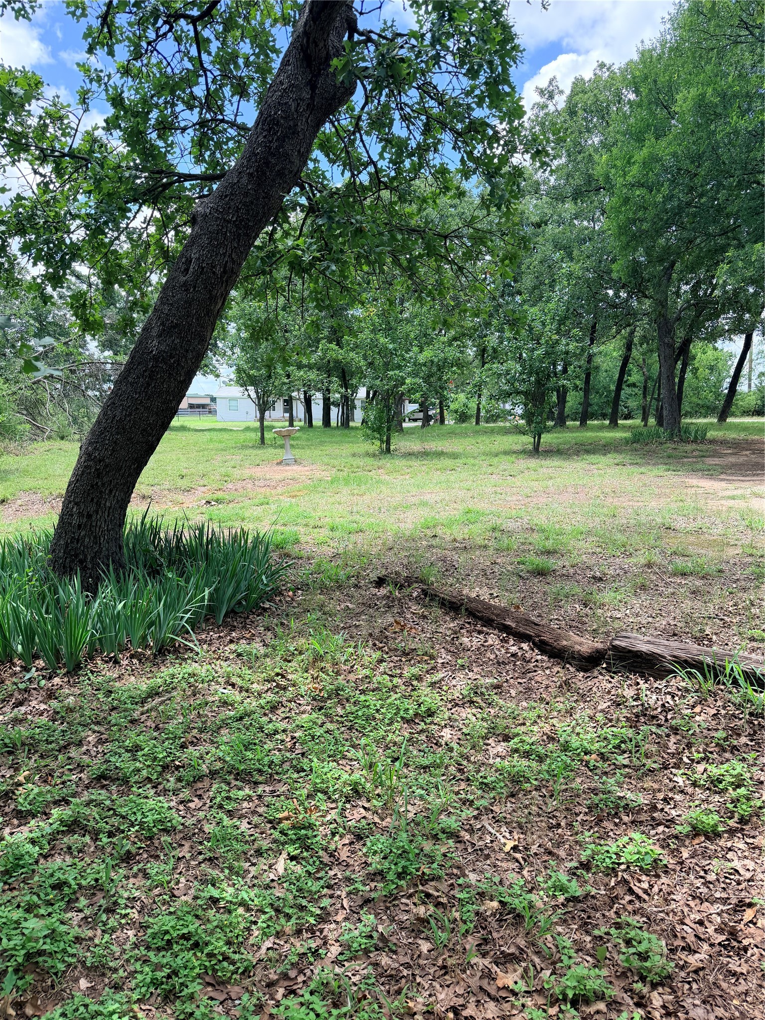 2429 County Road 427a Cleburne TX 76031