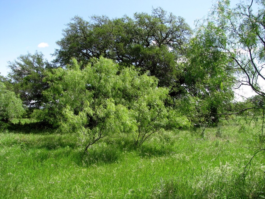 6630 Fm 183 Evant TX 76525