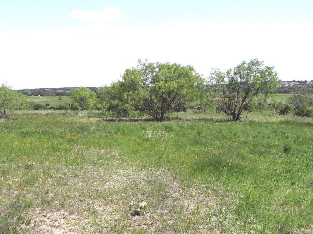 6630 Fm 183 Evant TX 76525